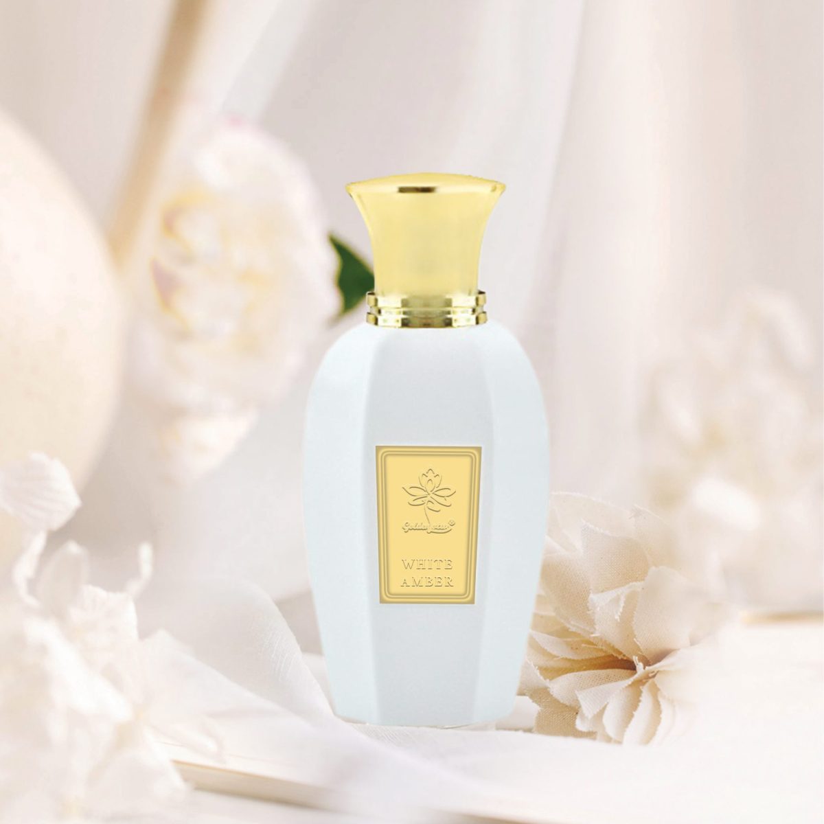 White Ambar - Image 5